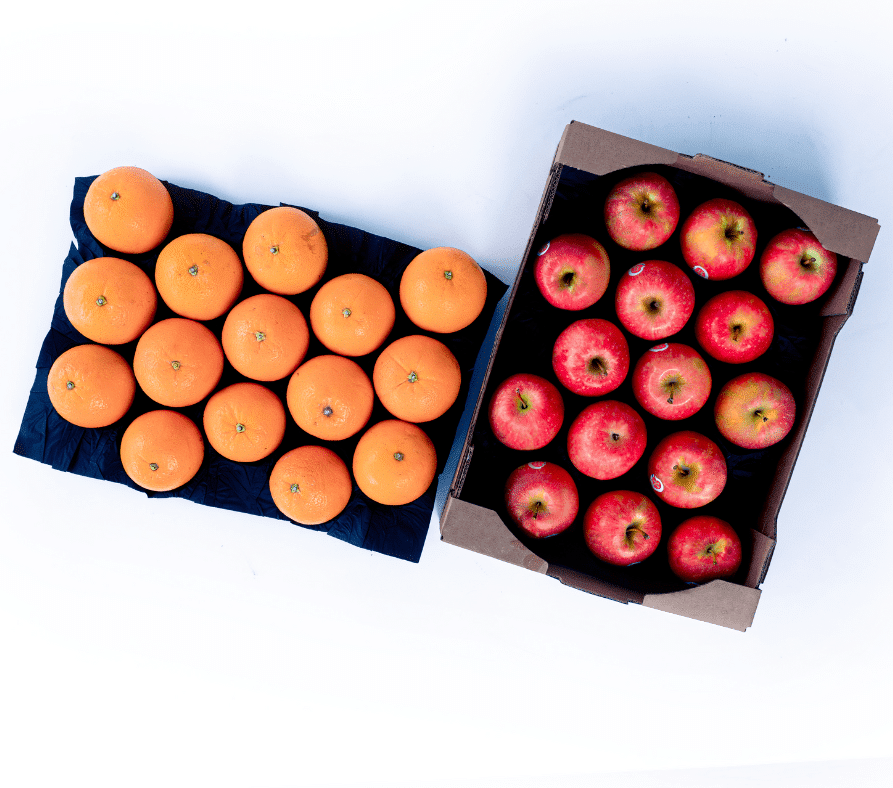 Plateau et alvéoles