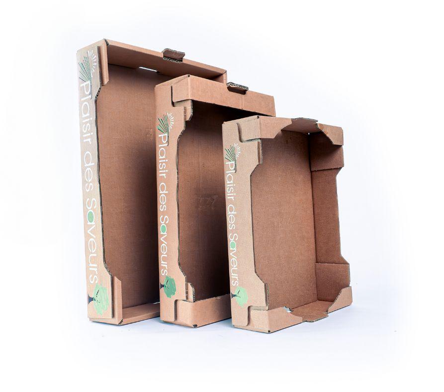 Plateaux et alvéoles en carton