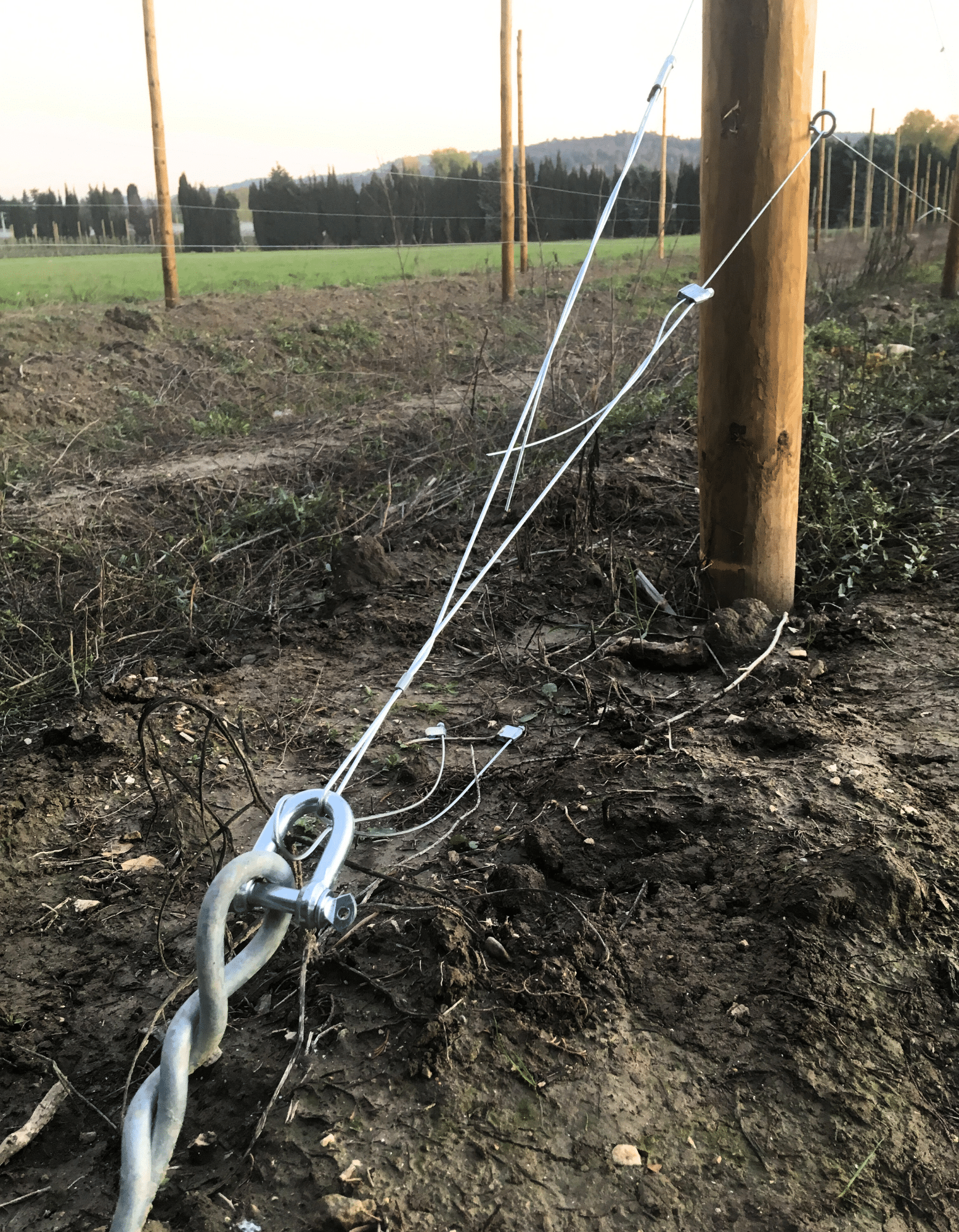 Structure et palissage pour arbres fruitiers