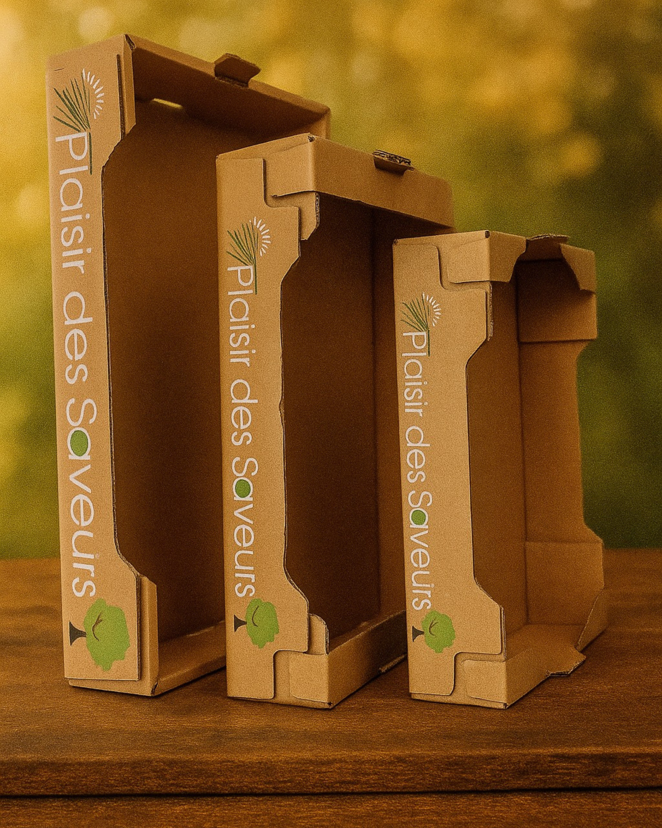 Plateaux carton fruits et légumes – solutions d’emballage agroalimentaire